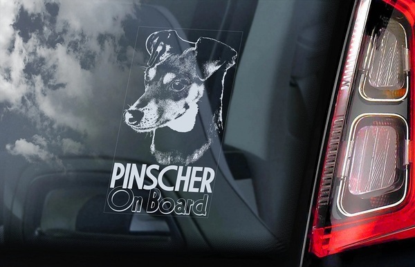 ◆送料無料◆ピンシャー ③ Pinscher 外張り カーステッカー 185x100mm 外貼り カー ステッカー シール 犬D 3 3965