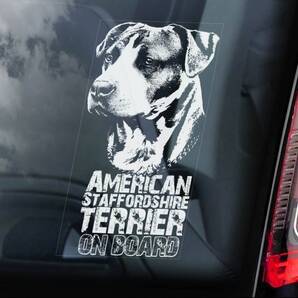 ◆アメリカン・スタッフォードシャー・テリア/アムスタフィー/スタッフィー①外張り カーステッカー 外貼り カー ステッカー シール 犬 D1