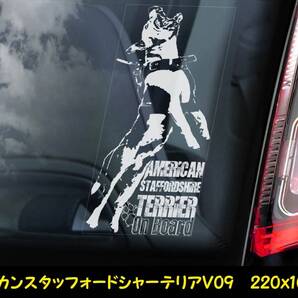 ◆アメリカン・スタッフォードシャー・テリア/アムスタフィー/スタッフィー⑨外張り カーステッカー 外貼り カー ステッカー シール 犬 D9