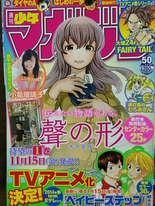 週刊少年マガジン 2013年No.50 グラビア切り抜き 小島瑠璃子