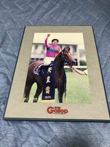 週刊ギャロップGallop 第121回天皇賞（春）平成12年テイエムオペラオー　パネル　一枚