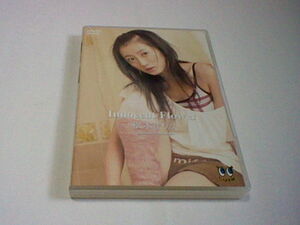 松本まりか Innocent Flower DVD