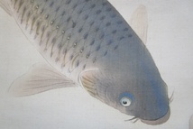 《ジャムルK》kkg8-44　在銘　明雪 　青松遊鯉之図　日本画 掛軸 絹本 共箱　_画像8
