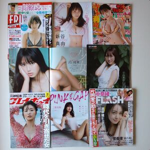 グラビア誌 切り抜き 約1800ページ