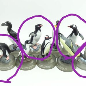 海洋堂　北陸製菓 ペンギンズフィギュアコレクション1 アデリー イワトビ ジェンツー コウテイ（ヒナ） 4種セット