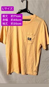 NIKE SB M SB SWEETHRT E Tシャツ