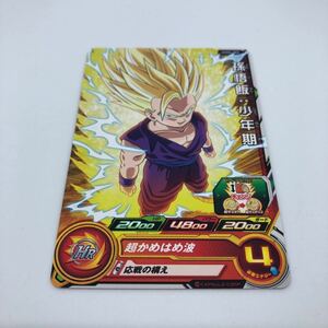 ドラゴンボールヒーローズ UGM4-002 孫悟飯:少年期