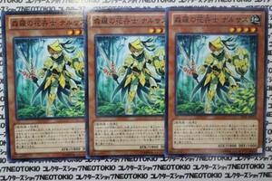 遊戯王 森羅の花卉士ナルサス(ノーマル LVAL)×3枚セット
