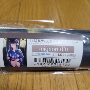 mignon　メロンブックス　 B2タペストリー　MIGNON WORKS　D