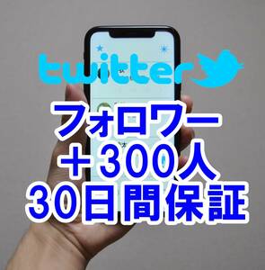 【おまけTwitter フォロワー増加 300人 】 ユーチューブ 再生回数 増やせる自動増加ツール ツイッター 増加 外国人 登録者数 最高品質