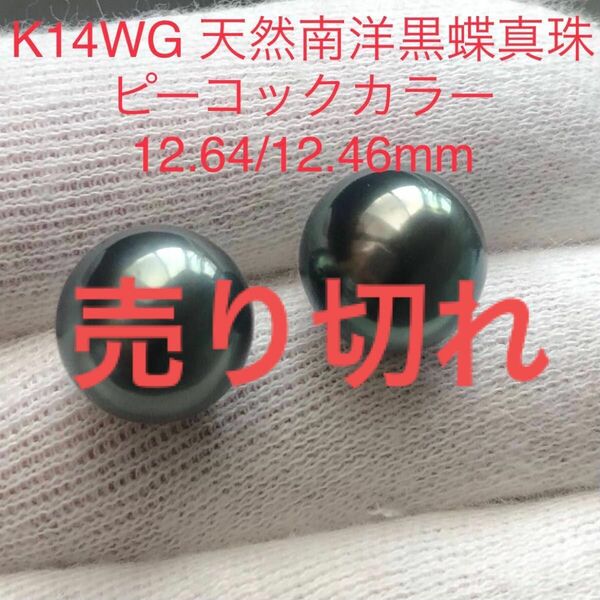 K14WG 天然南洋黒蝶真珠　丸系ピアス　12.64/12.45mm