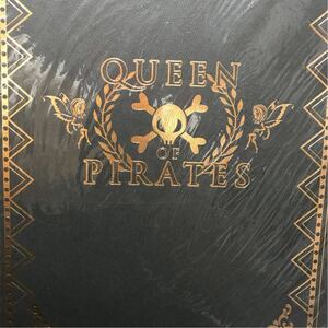KAT-TUN パンフレット QUEEN OF PIRATES グッズ コンサート ライブ 赤西 亀梨 貴重