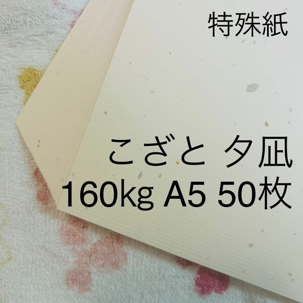 特殊紙　こざと　夕凪　A5　160キロ　50枚