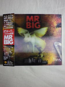 DVD付限定盤 『Mr. Big/What If...(2010)』(2010年発売,IEZP-26,国内盤帯付,歌詞対訳付,3Dケース仕様,Undertow,All The Way Up)