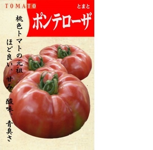 トマト ポンテローザ 10粒