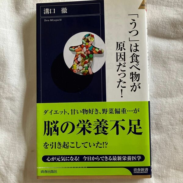 「うつ」は食べ物が原因だった！ （青春新書ＩＮＴＥＬＬＩＧＥＮＣＥ　ＰＩ－２３８） 溝口徹／著