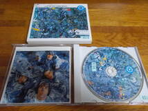 THE STONE ROSES THE VERY BEST OF THE STONE ROSES レンタル落ち_画像2