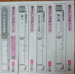 小６ 国語 カラーテスト 回答 光文書院