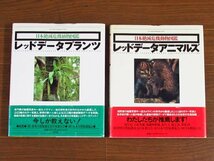 レッドデータプランツ 日本絶滅危機植物図鑑＋レッドデータアニマルズ 日本絶滅危機動物図鑑 2冊 帯付き CA6_画像1