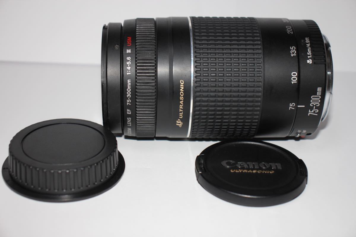 ☆キャノン☆極上品 超望遠レンズ☆Canon EF75-300㎜III USM | JChere