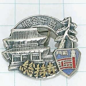 送料無料)能登半島 総持寺 ご当地 観光地 登山 山登り 旅行 記念 山バッジ ピンバッジ PINS ピンズ A18863