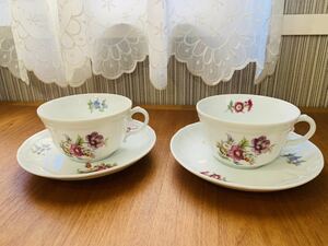 [ beautiful goods ]Richard Ginori Richard Ginori sax flower cup & saucer C/S C&S 2 customer set pair together 