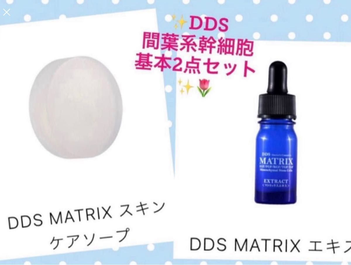 AiRS JAPAN DDS マトリックススキンケアソープ マトリックスエキス間葉