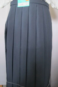 * elementary school student woman uniform summer navy blue 20ps.@ car hida skirt size 150B new goods 
