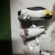 立体図鑑 ペンギン フィギュア コレクション 動物_画像5