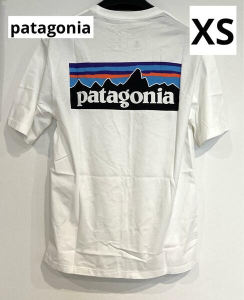 patagonia パタゴニア Tシャツ 半袖 シャツ 38535 白T　XS