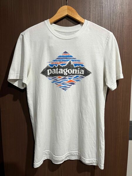 Patagonia パタゴニア 輸入 半袖Tシャツ