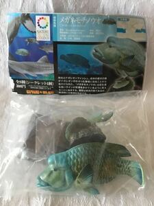 ネイチャーテクニカラー　海洋Ⅰ 初版　メガネモチノウオ　内袋未開封品