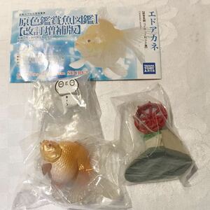 原色鑑賞魚図鑑Ⅰ [改訂増補版]シークレット　エドアカネ　内袋未開封品　解説書付