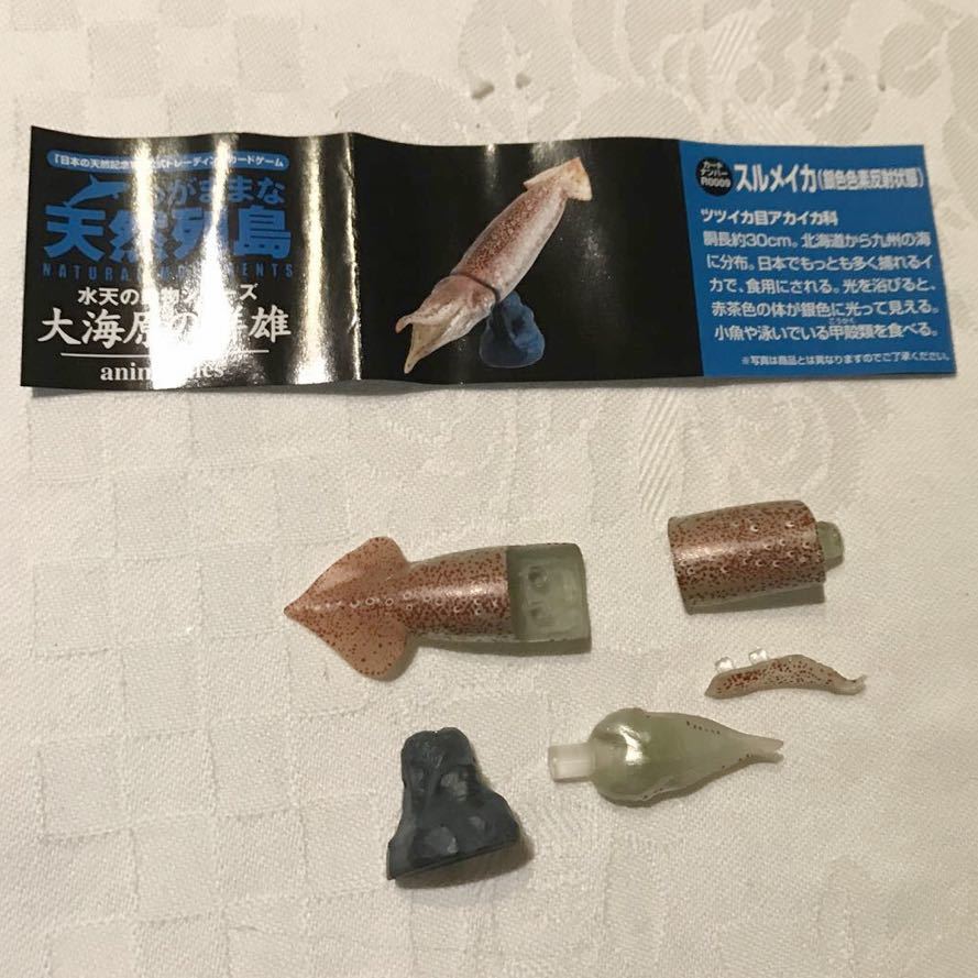 2023年最新】ヤフオク! -わがままな天然列島の中古品・新品・未使用品一覧
