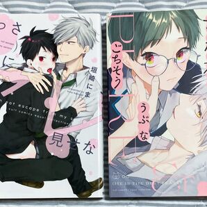 BL漫画 コミック 2冊セット 垣崎にま