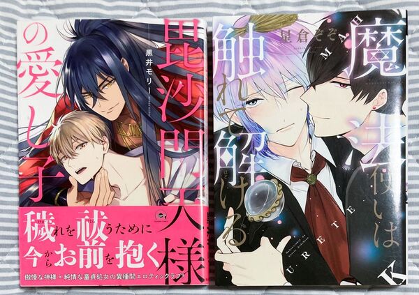 BL漫画 コミック 2冊セット 黒井モリー 星倉ぞぞ
