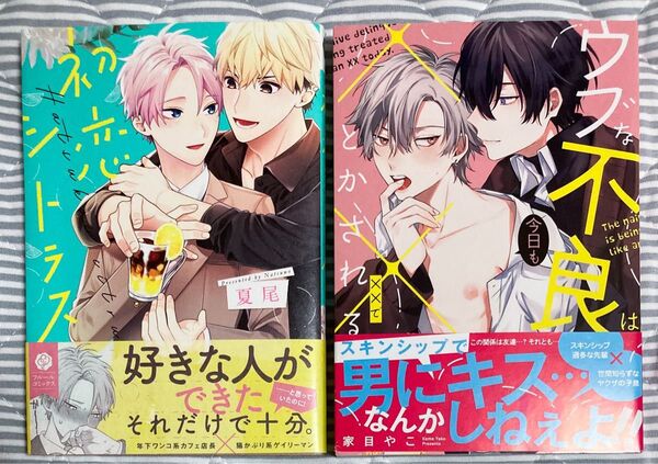 BL漫画 コミック 2冊セット 夏尾 家目やこ