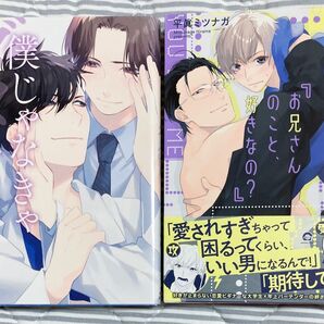 BL漫画 コミック 2冊セット 平眞ミツナガ