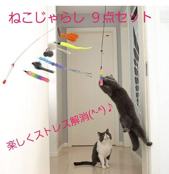 【ラスト1点】新品 猫じゃらし ハンギングドア 猫用おもちゃ 9点セット