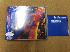 （未開封）CD＋CD,ｓホットハウス・フラワーズ/ソングス・フロム・ザ・レイン 