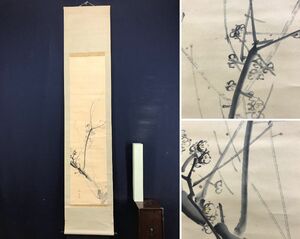 Art hand Auction [Authentisch] Ohara-Trinkboot/Pflaumenblüten/Blume/Pflaumenblüten/Hängende Schriftrolle☆Schatzschiff☆AD-224, Malerei, Japanische Malerei, Blumen und Vögel, Tierwelt