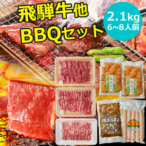 焼肉 肉 バーベキューセット 飛騨牛入 ６～8人分