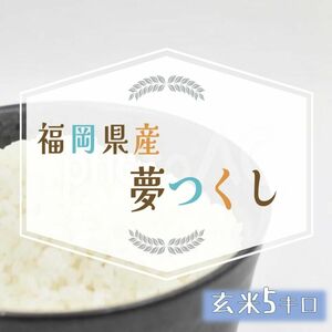 夢つくし 5kg 玄米 5年産 お米