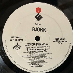 Bjork / Human Behaviour