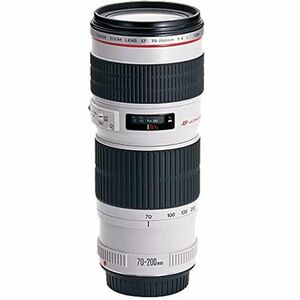 Canon 望遠ズームレンズ EF70-200mm F4.0L USM フルサイズ対応