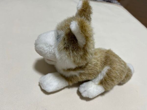 シベリアンハスキー 茶色 ブラウン ぬいぐるみ 約30cm 犬 いぬ イヌ