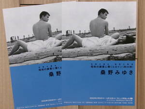 映画チラシ 昭和の銀幕に輝くヒロイン 第94弾 桑野みゆき 2枚 邦画 劇場版ちらし 野を駈ける少女 悪の華