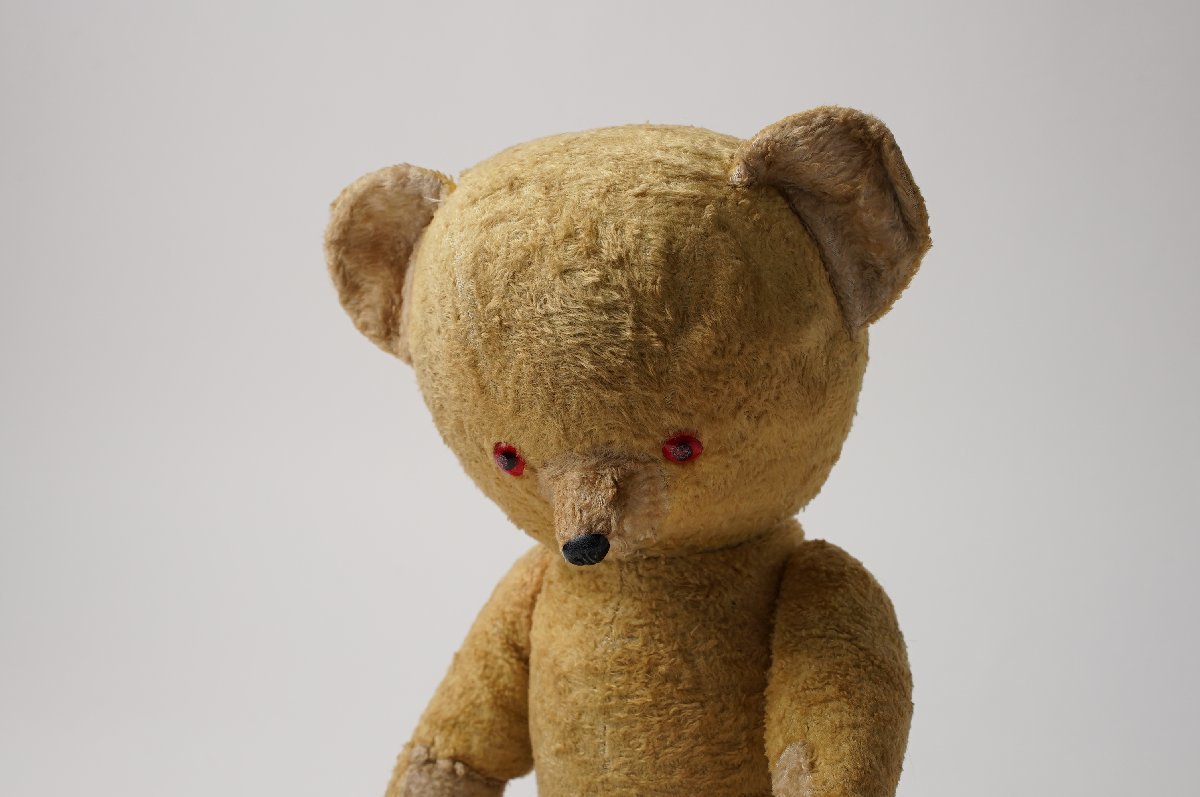 2023年最新】ヤフオク! -くま ぬいぐるみの中古品・新品・未使用品一覧