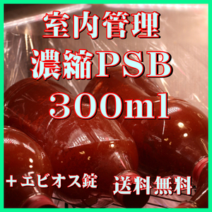 ★送料無料★ 室内管理濃縮培養PSB300ml＋エビオス30錠　光合成細菌　水質調整、バクテリア、めだか・金魚・熱帯魚などに最適。