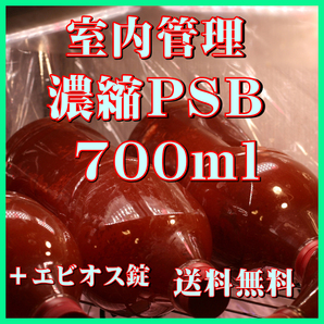 ★送料無料★ 室内管理濃縮培養PSB700ml＋エビオス30錠 光合成細菌 水質調整、バクテリア、めだか・金魚・熱帯魚などに最適。の画像1